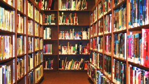 library stacks