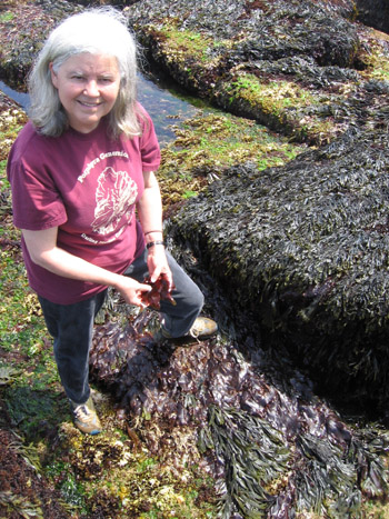 Susan Brawley in the field