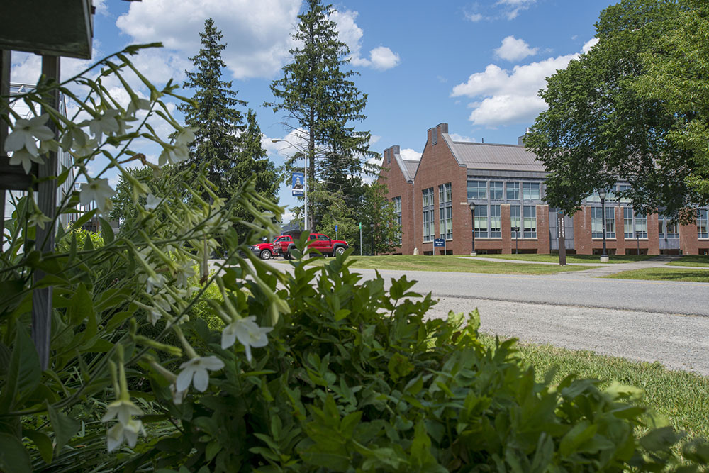 Building on Campus