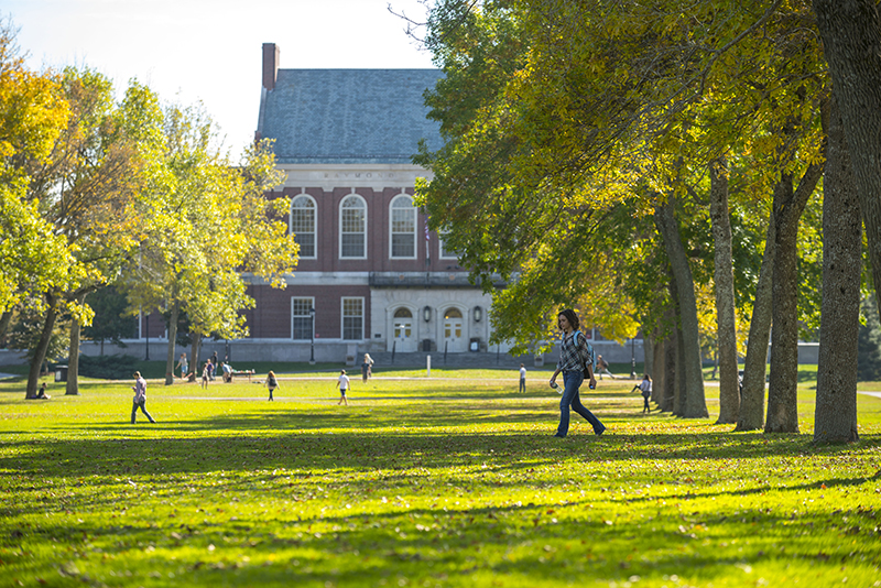 The Mall and Fogler