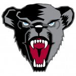 Bear head logo