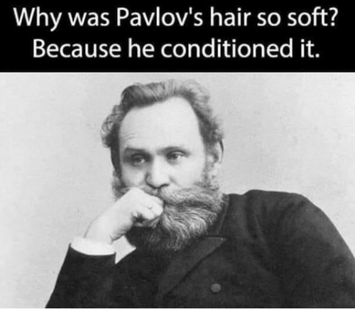 Why was Pavlov's hair so soft? Because he conditioned it.